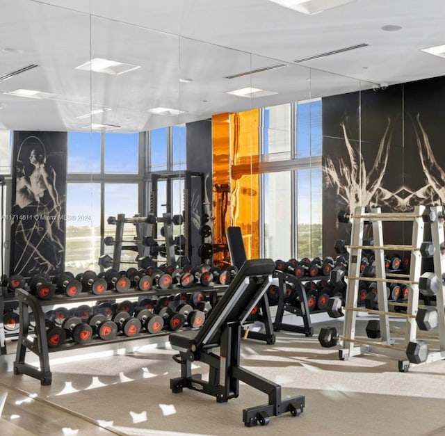 workout area featuring a wall of windows