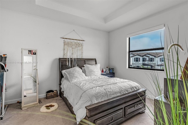 bedroom featuring light carpet and a raised ceiling