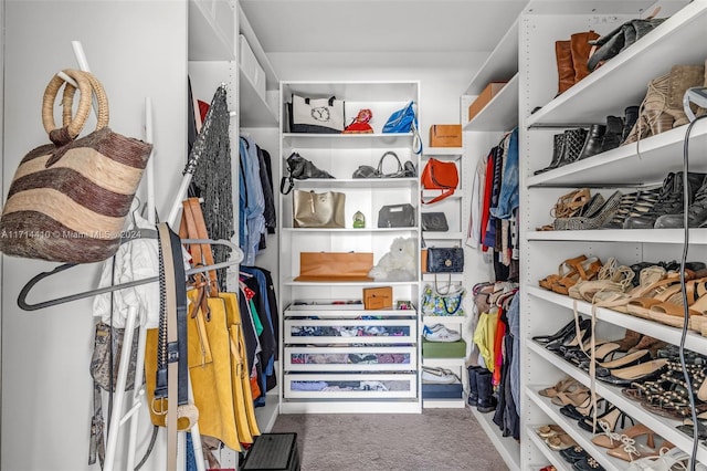 walk in closet with carpet floors