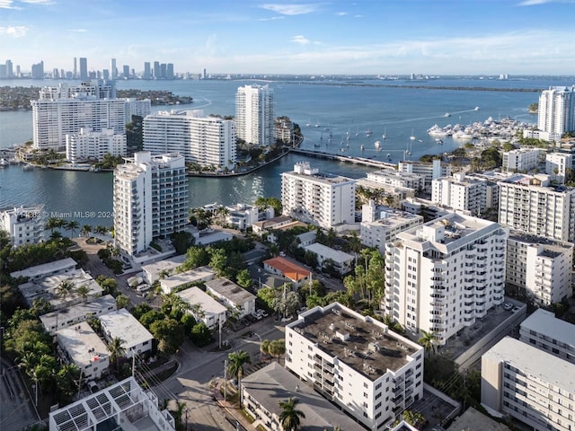 aerial view with a water view