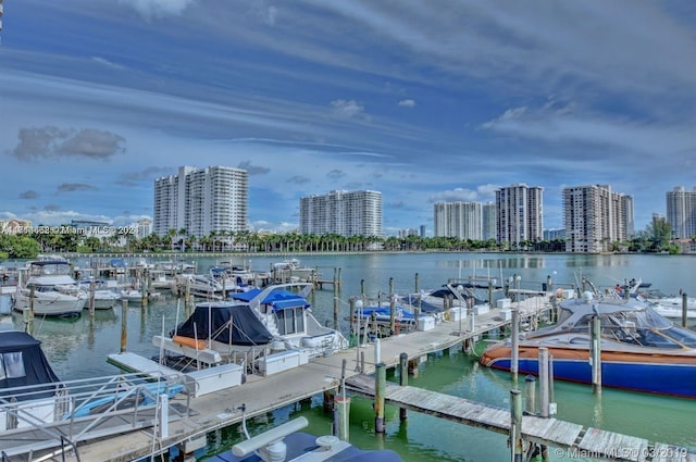 dock area featuring a water view