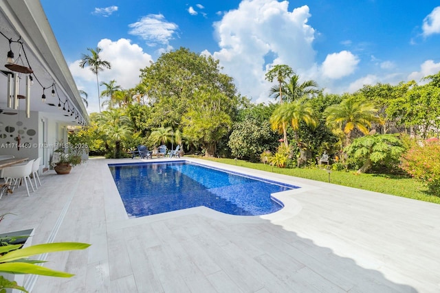 view of swimming pool with a patio