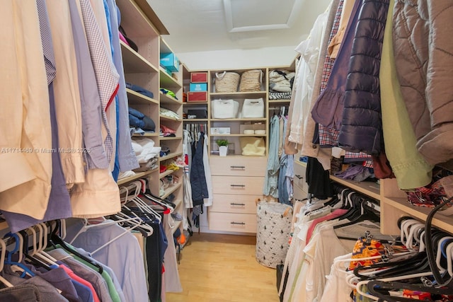 walk in closet with light hardwood / wood-style floors