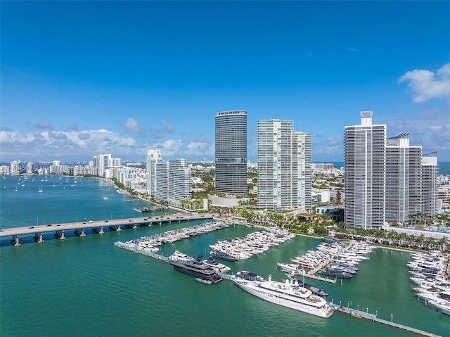 drone / aerial view with a water view