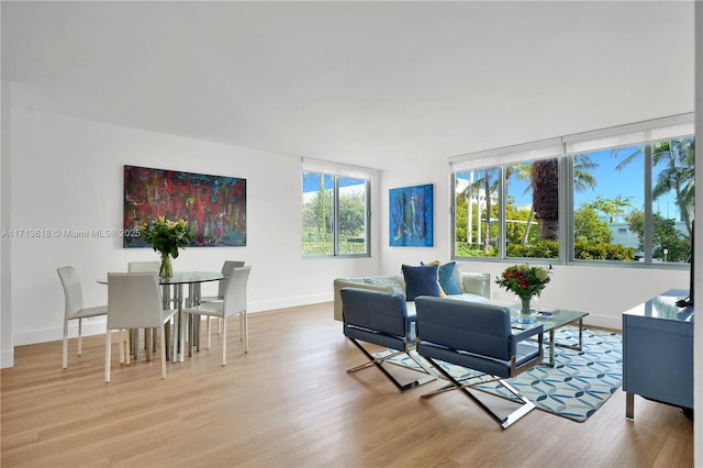 living room with light hardwood / wood-style floors