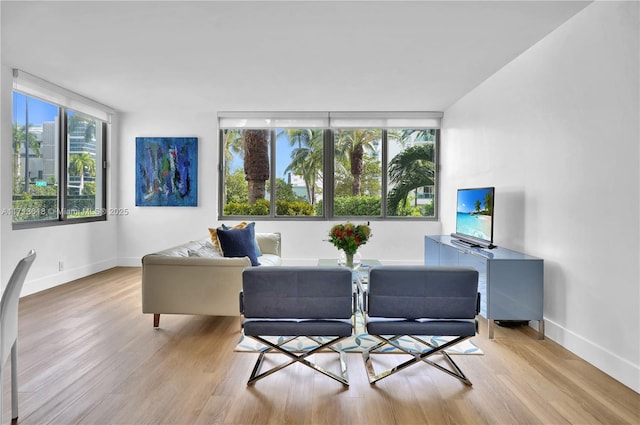 living room with light hardwood / wood-style flooring