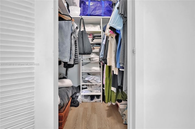 walk in closet featuring wood-type flooring