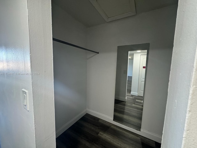 walk in closet featuring dark hardwood / wood-style floors