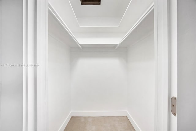 spacious closet with carpet floors