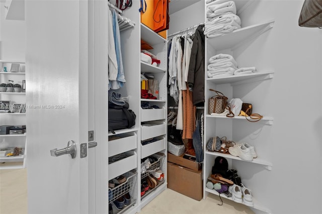 view of spacious closet