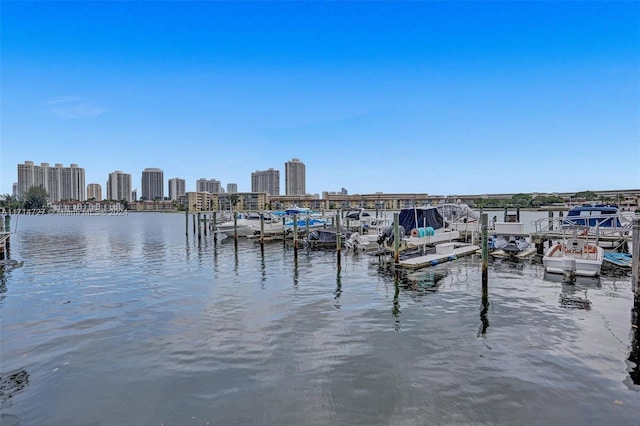 view of water feature with a boat dock