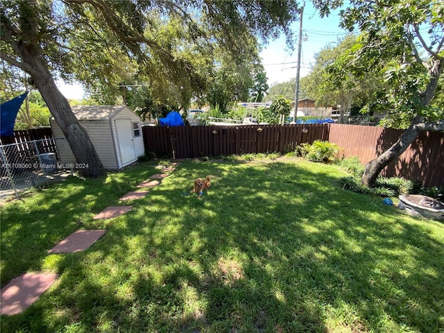 view of yard with a storage unit