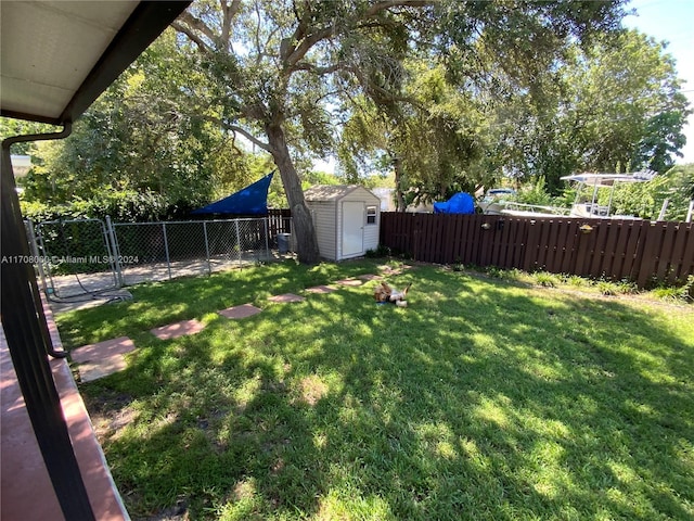 view of yard featuring a shed