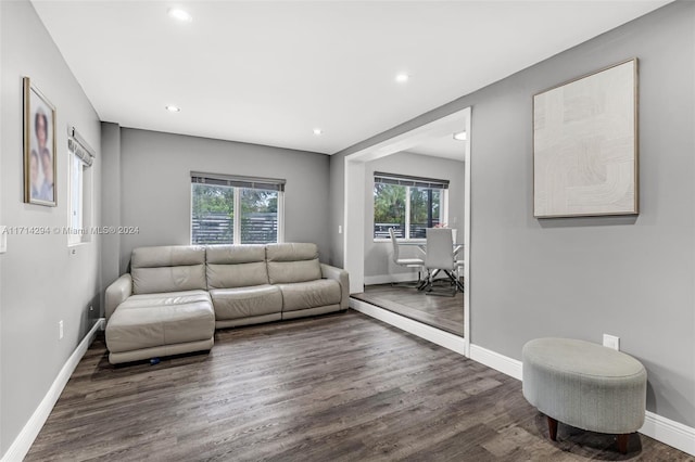 living room featuring a healthy amount of sunlight and dark wood-type flooring