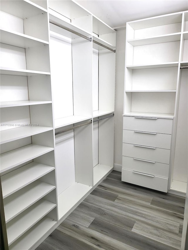 spacious closet featuring dark wood-type flooring