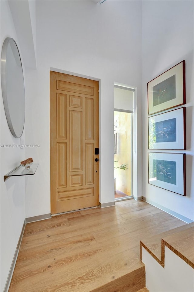 foyer entrance featuring light hardwood / wood-style floors