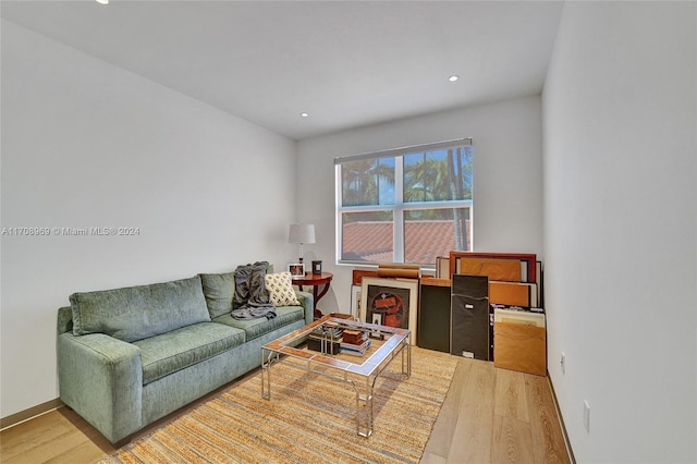 living room with hardwood / wood-style floors