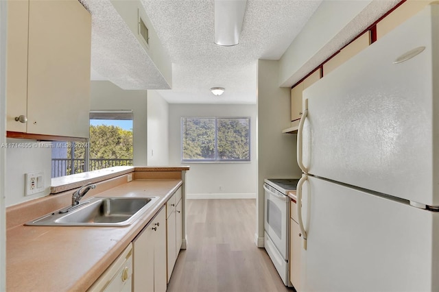 kitchen featuring a textured ceiling, white appliances, light hardwood / wood-style flooring, and sink