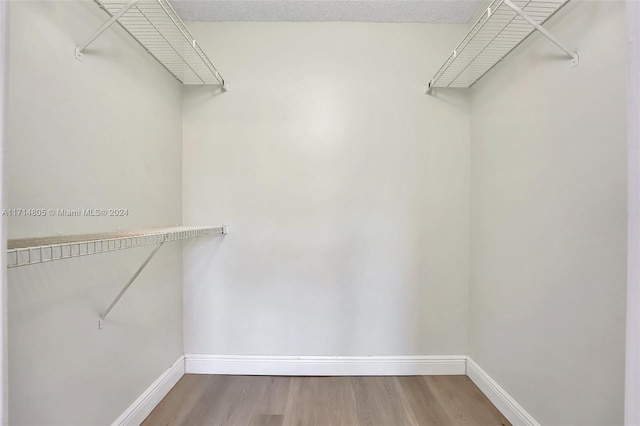 walk in closet with wood-type flooring