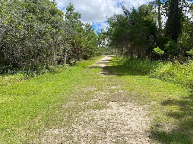 1105 Butternut Rd, Lake Placid, FL 33852 - photo 4