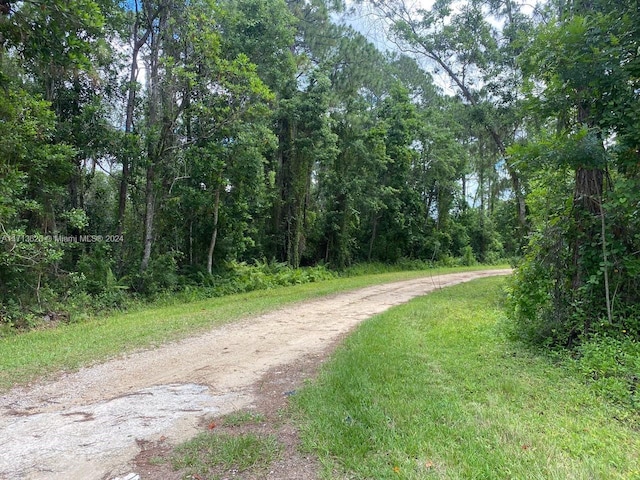1105 Butternut Rd, Lake Placid, FL 33852 - photo 5