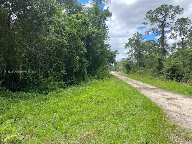 1105 Butternut Rd, Lake Placid, FL 33852 - photo 6