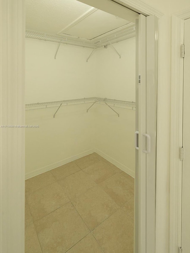 view of spacious closet