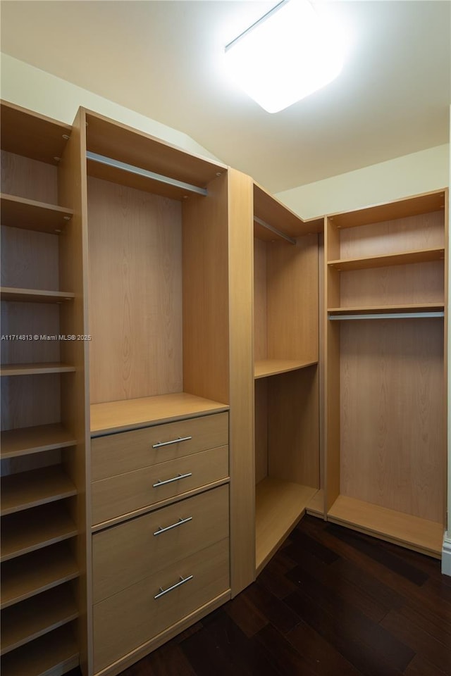 spacious closet with dark wood-style flooring