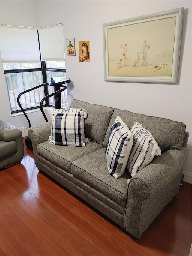 living room with hardwood / wood-style flooring