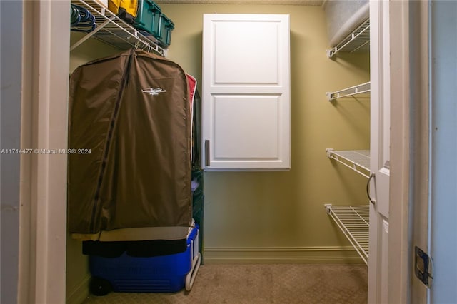 spacious closet featuring carpet flooring