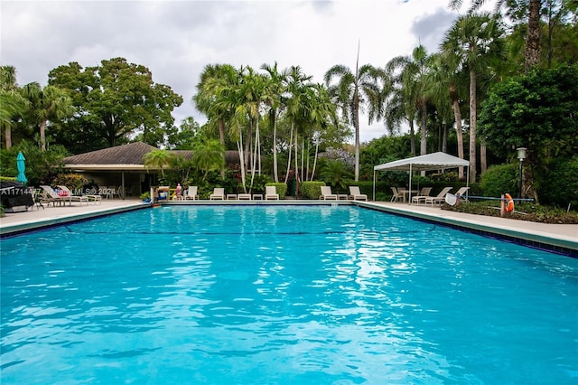 view of pool with a patio area