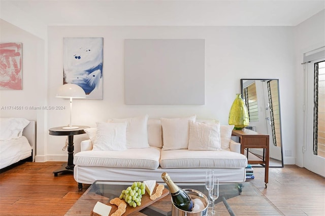 living room featuring hardwood / wood-style floors