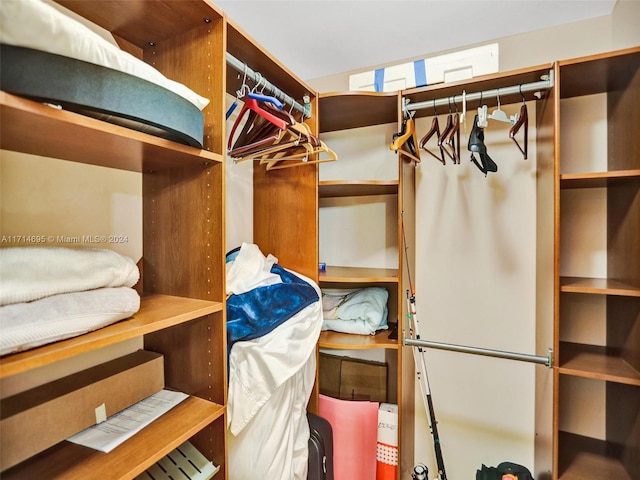 view of spacious closet