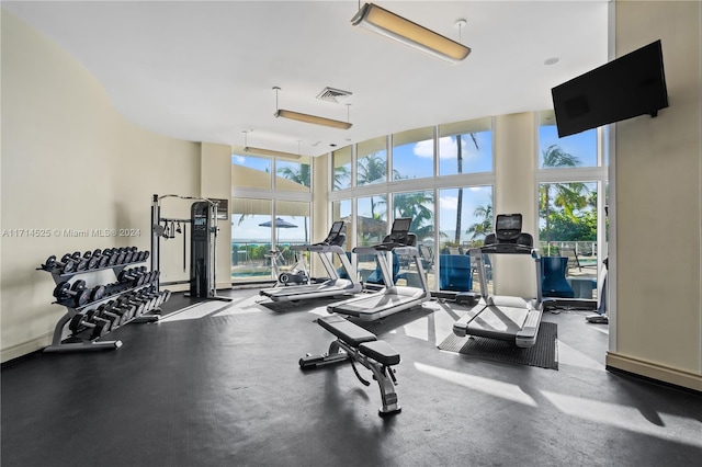 gym with a high ceiling and floor to ceiling windows