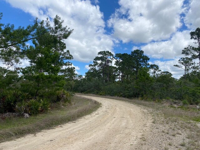 3111 Tanglewylde Ave, Lake Placid, FL 33852