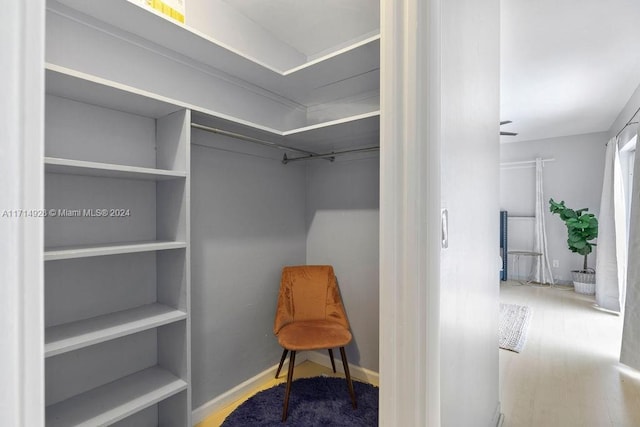 walk in closet featuring wood-type flooring