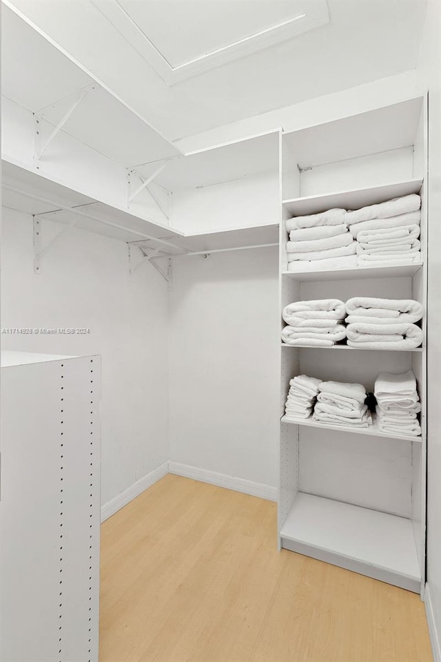 spacious closet featuring wood-type flooring