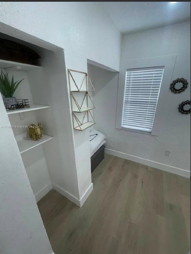 walk in closet with wood-type flooring