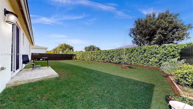 view of yard with a patio