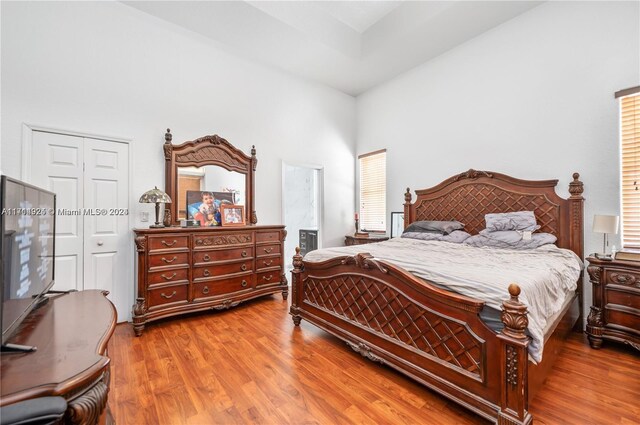 bedroom with a closet and wood-type flooring