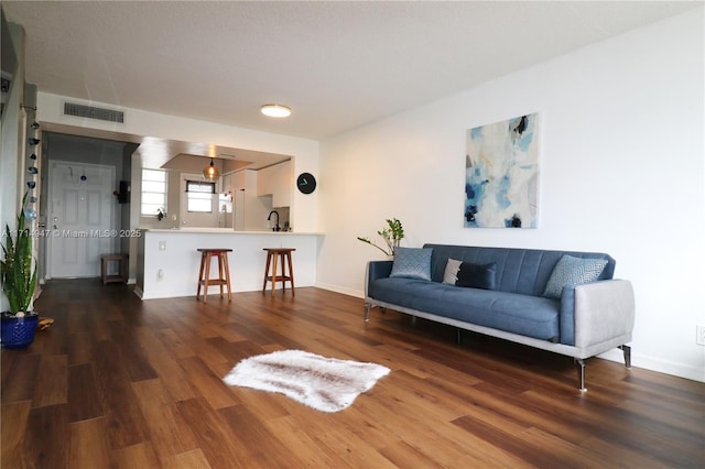 living room featuring sink and dark hardwood / wood-style floors