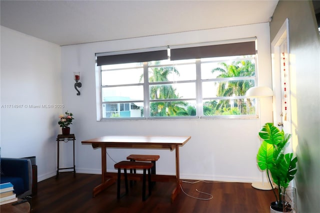 misc room featuring dark hardwood / wood-style flooring