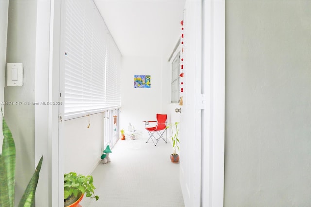 hallway with carpet