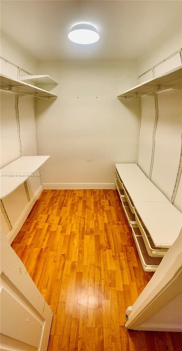 walk in closet featuring wood-type flooring