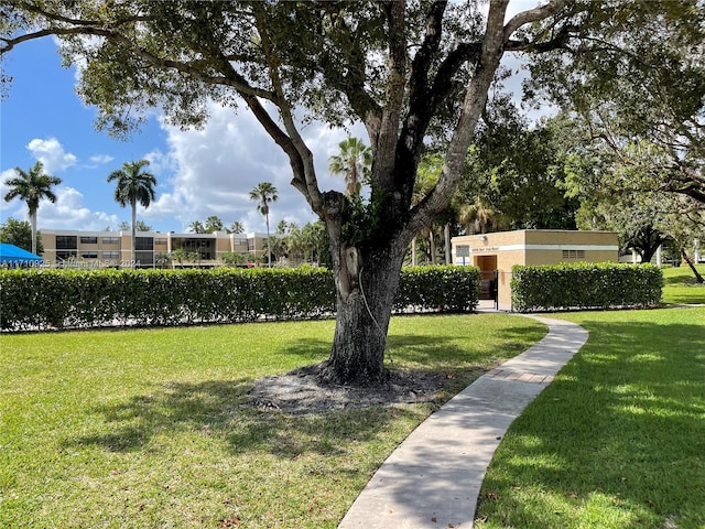 view of home's community featuring a lawn