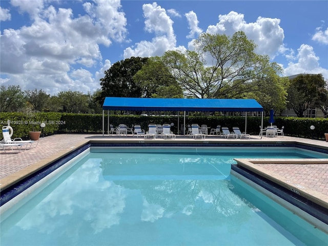 view of swimming pool with a patio