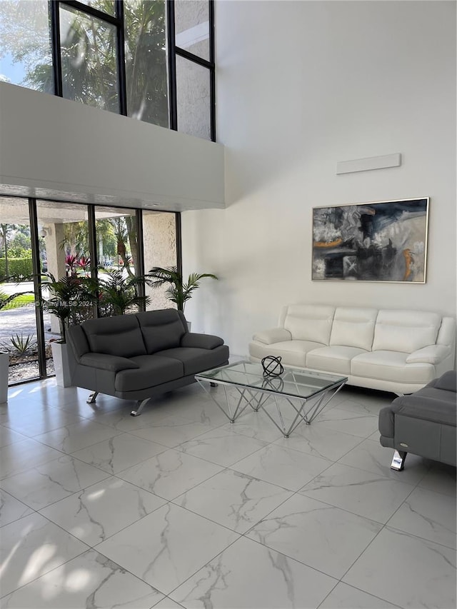 living room with a high ceiling