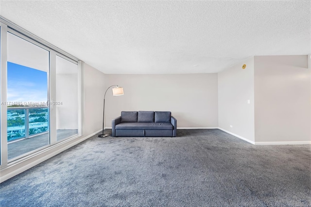 unfurnished room featuring carpet and a textured ceiling