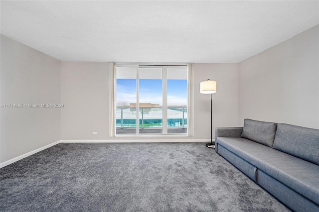 unfurnished living room with carpet flooring