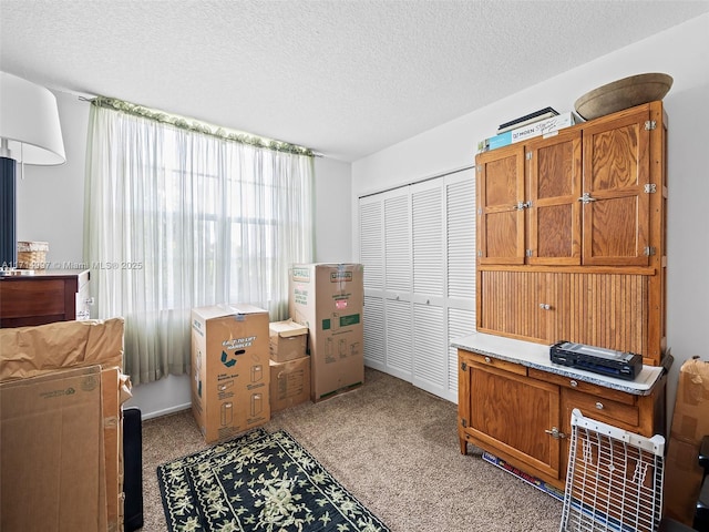 bedroom featuring light colored carpet, a closet, and a textured ceiling